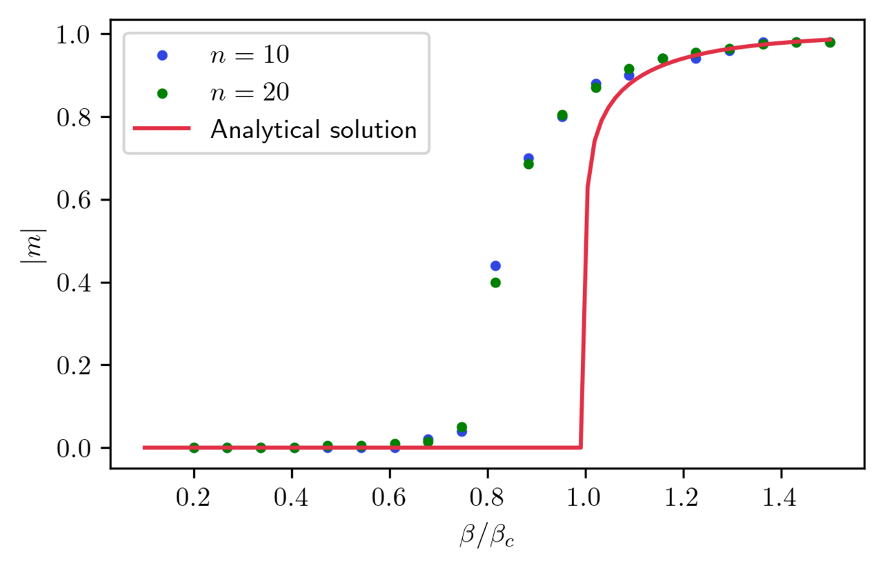 Genetic magnetization vs exact solution