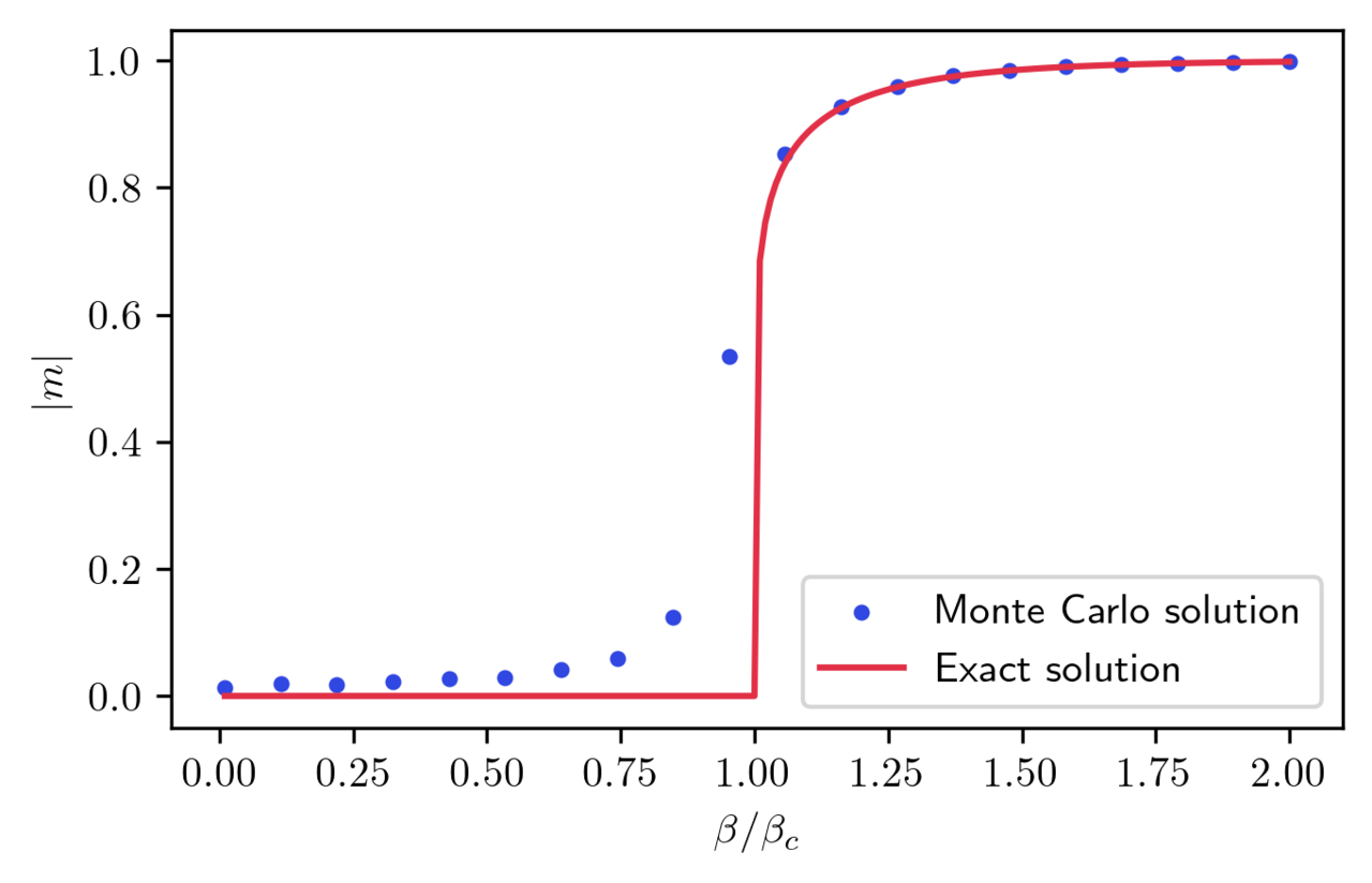 Comparison magnetization to exact solution